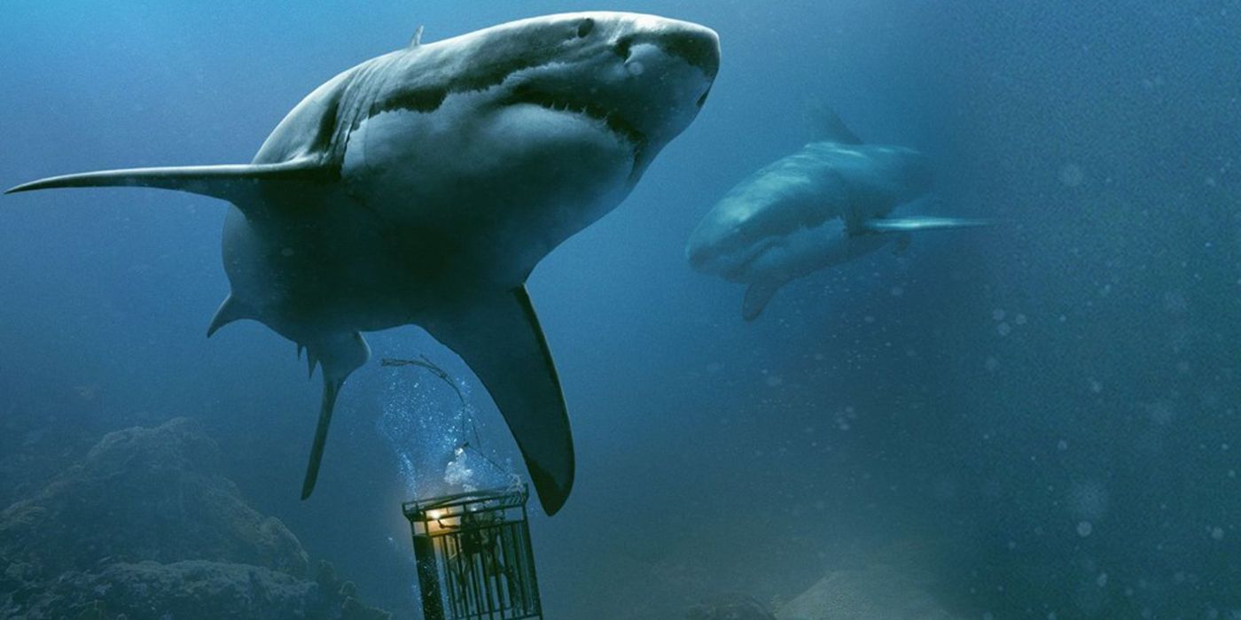 47 Meters Down 2017 Movie Shark Cage Underwater