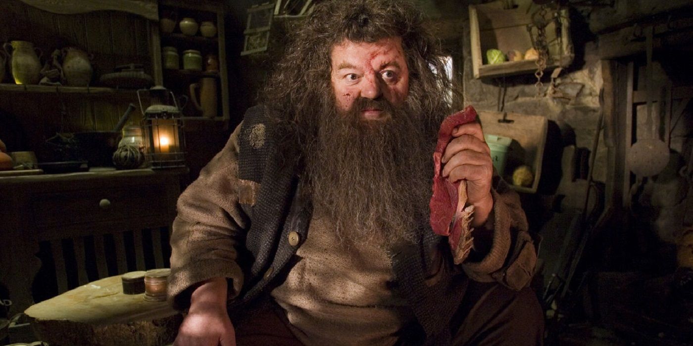 Rubeus Hagrid holding a rag while in his hut in Harry Potter
