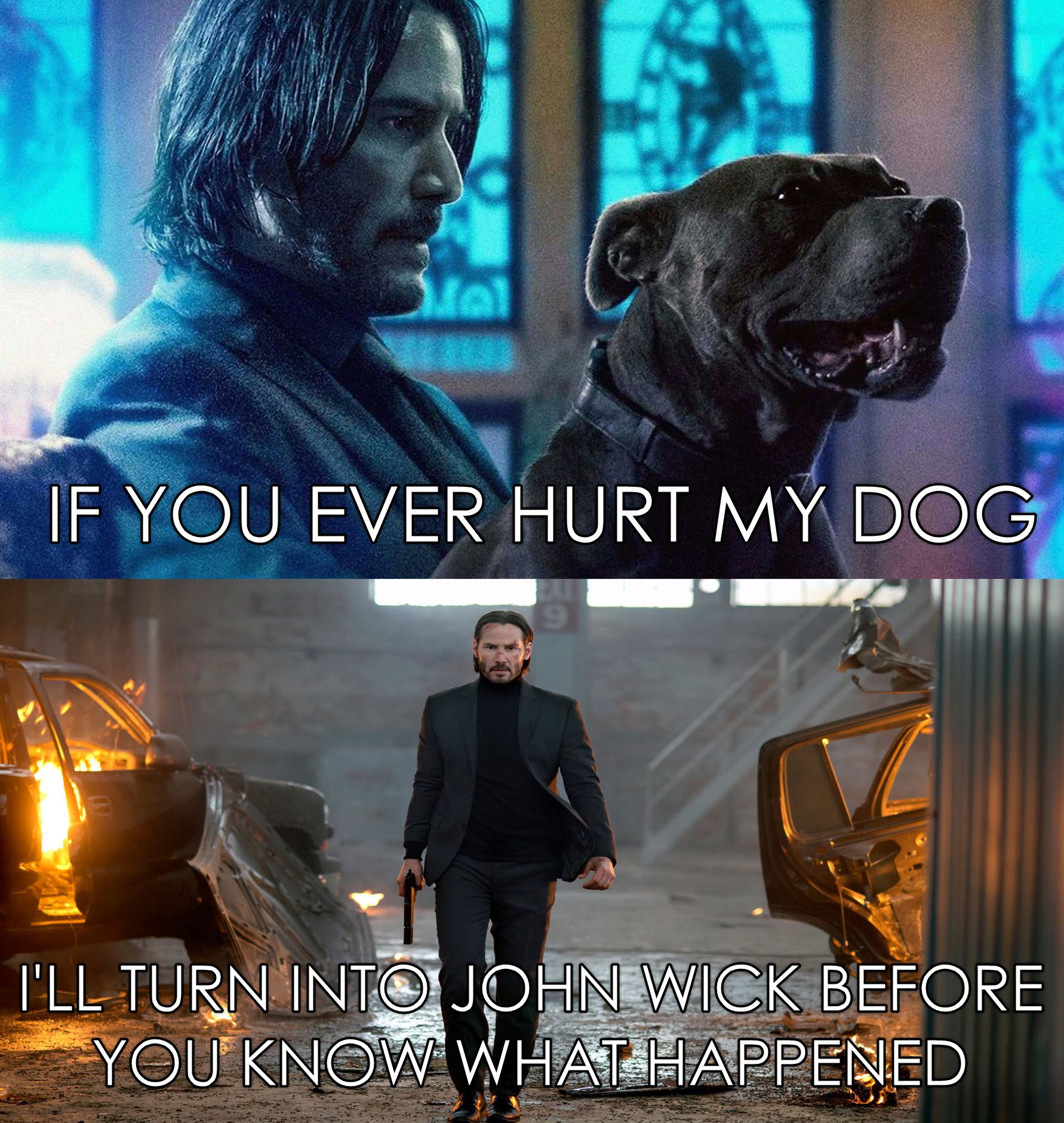 (John Wick) 9 - Don&rsquo;t Mess With People&rsquo;s Dogs