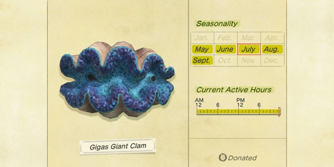 The Encyclopedia entry for the Gigas Giant Clam in Animal Crossing: New Horizons