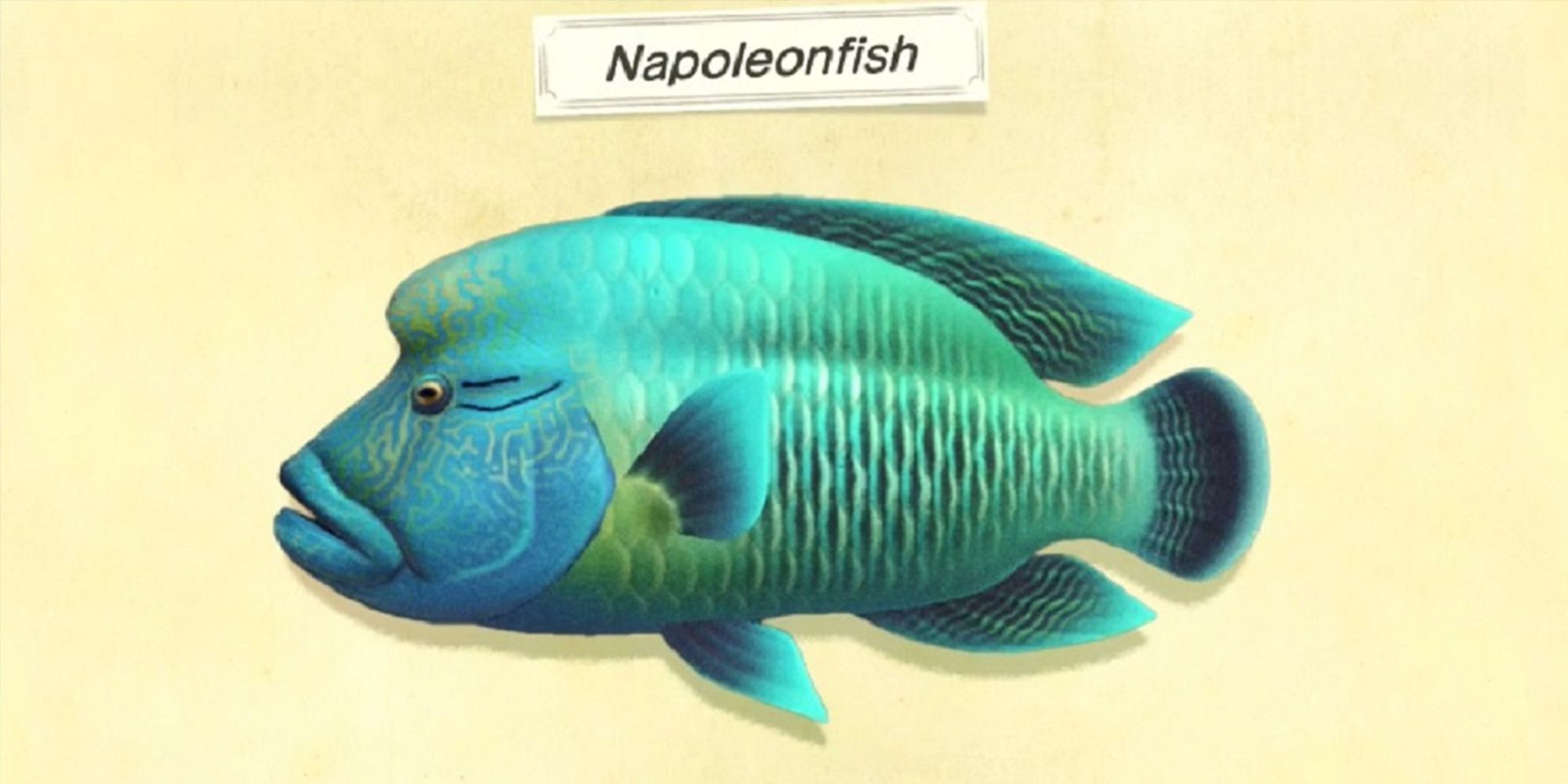 Animal Crossing New Horizons Napoleonfish