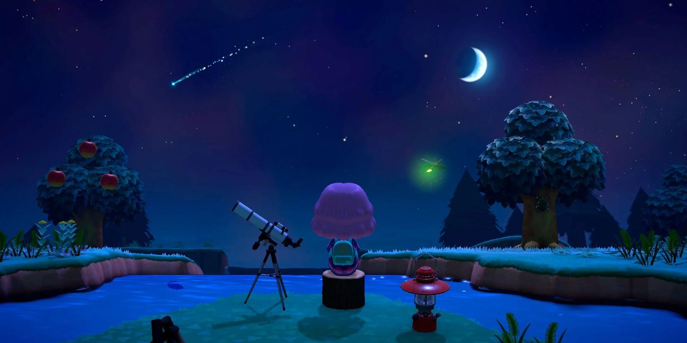 Animal Crossing New Horizons Night Shooting Star