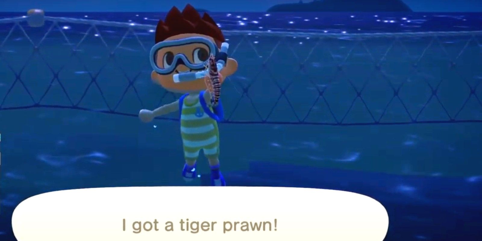 A player holds up the tiger prawn he caught by diving near the fence in Animal Crossing: New Horizons
