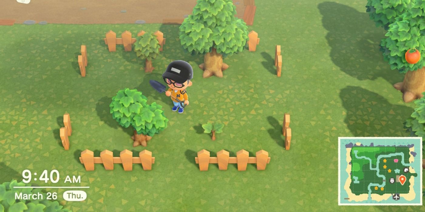 Money Tree Orchard Design Ideas & Tips in Animal Crossing: New Horizons