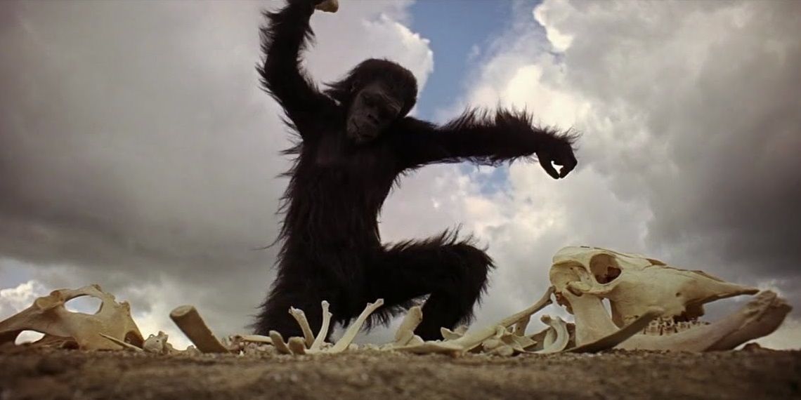 An ape using a bone as a weapon in 2001