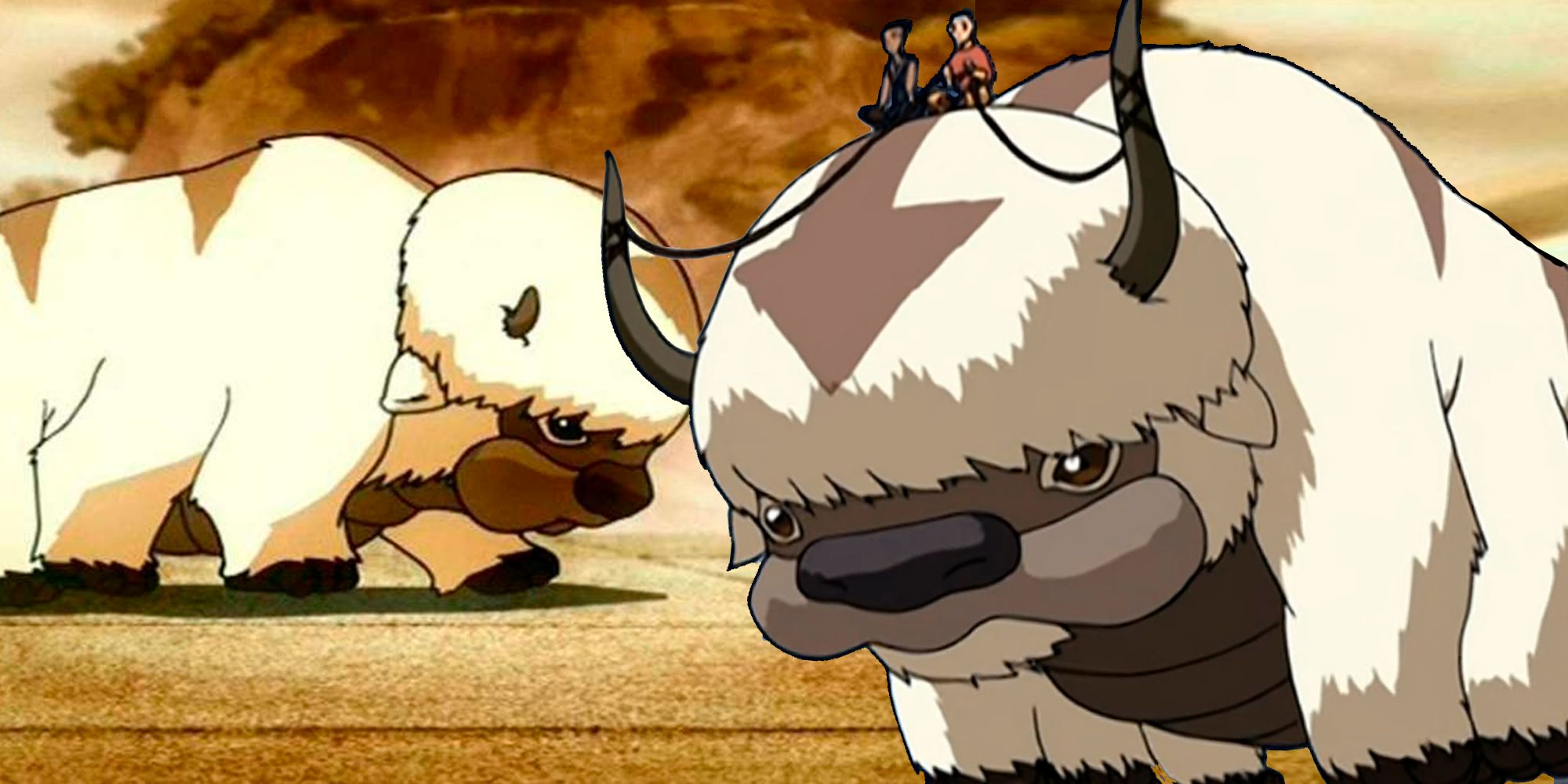 avatar appa bean bag