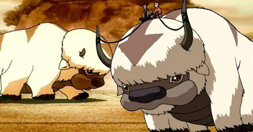 What Happened To Appa After The Airbender Ended