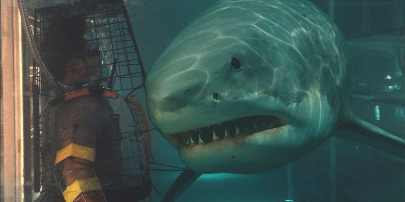 Bait 3D Movie Underwater Convenience Store Shark