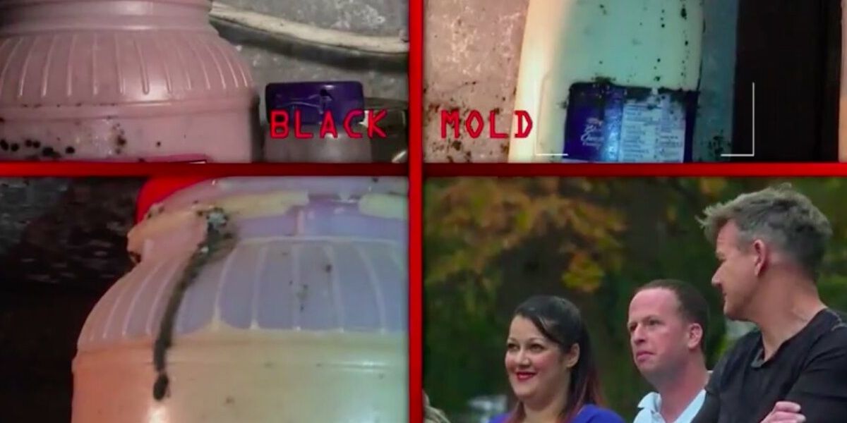 Gordon Ramsay's 24 Hours To Hell And Back: 10 Worst & Most Disgusting