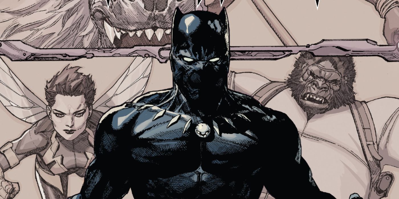 Black Panther Agents of Wakanda