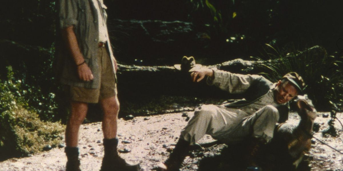 Deleted Jurassic - Baby Rex Broken Leg