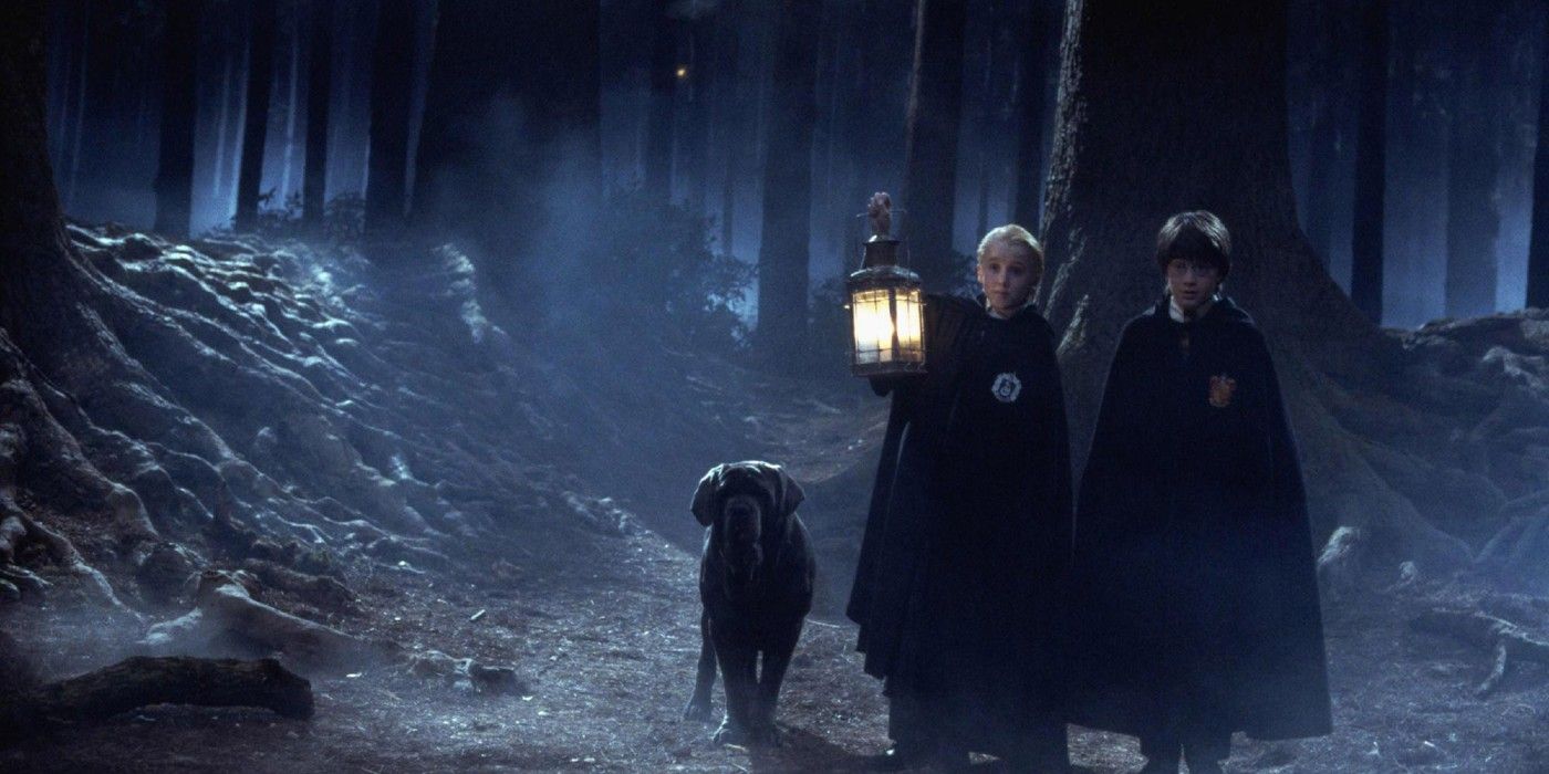 Malfoy, Harry, and Fang in the Forbidden Forest in Harry Potter.