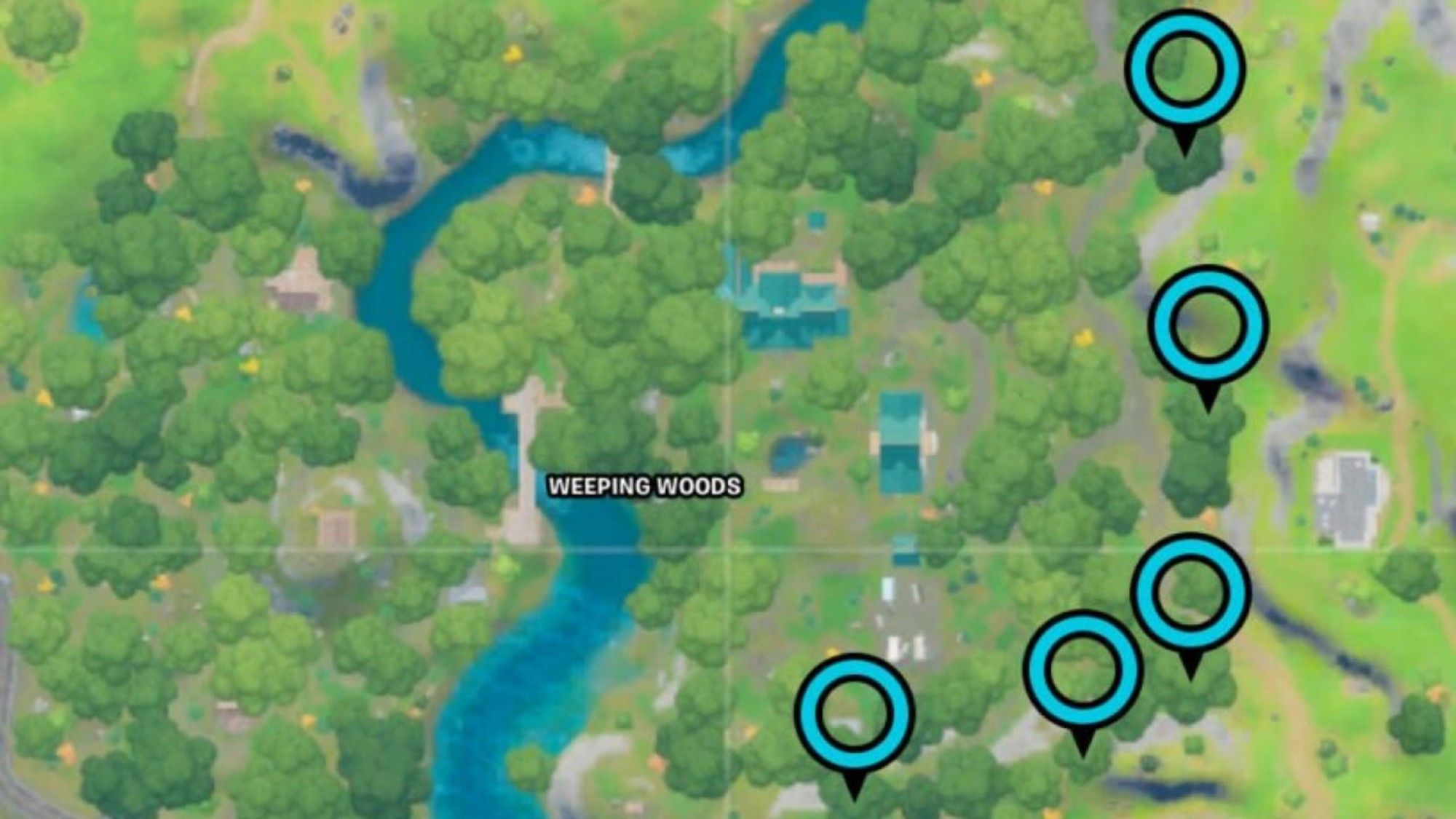 Where to Find The Floating Rings at Weeping Woods in Fortnite (Week 7