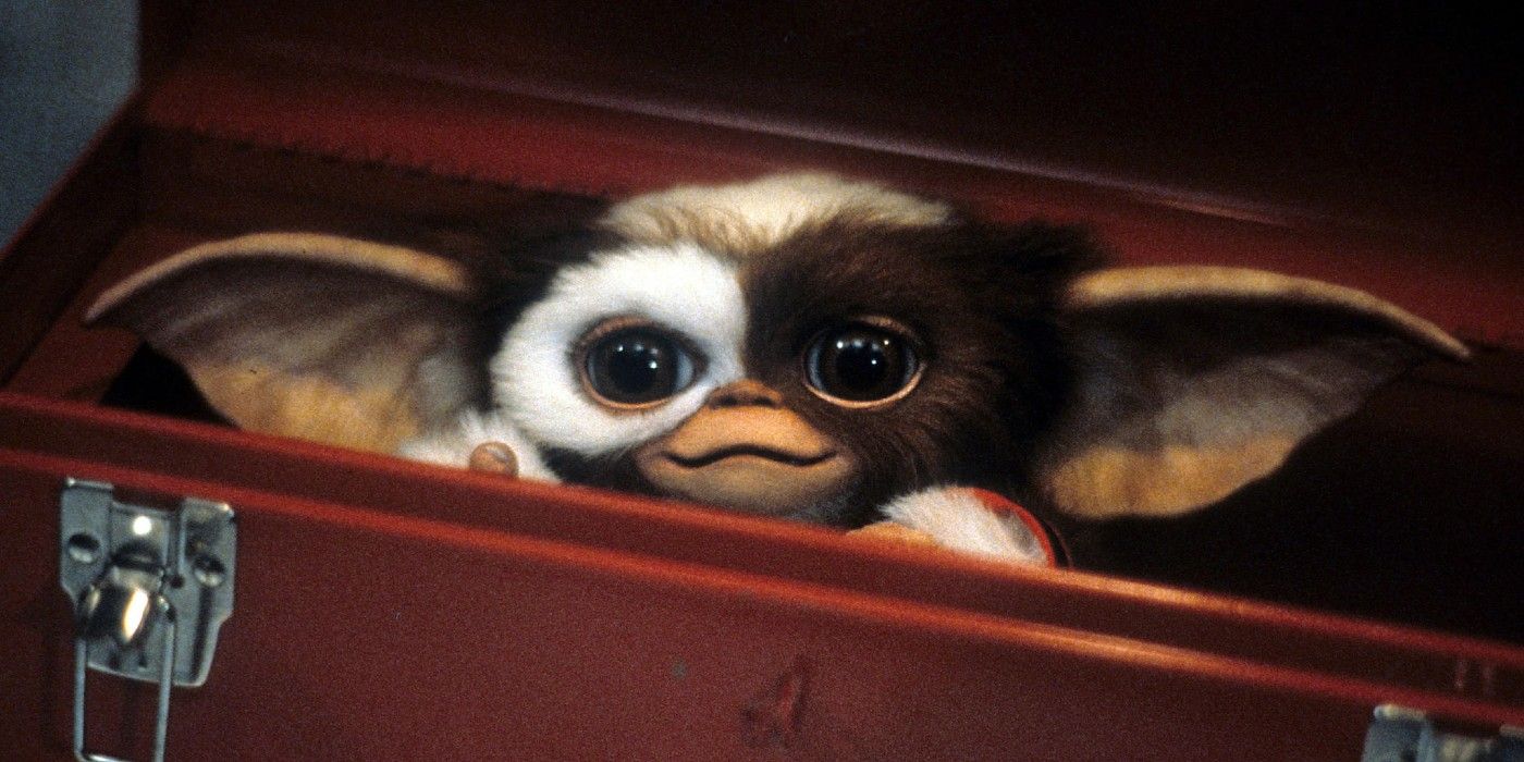 Gizmo peaks out of a drawer in Gremlins.