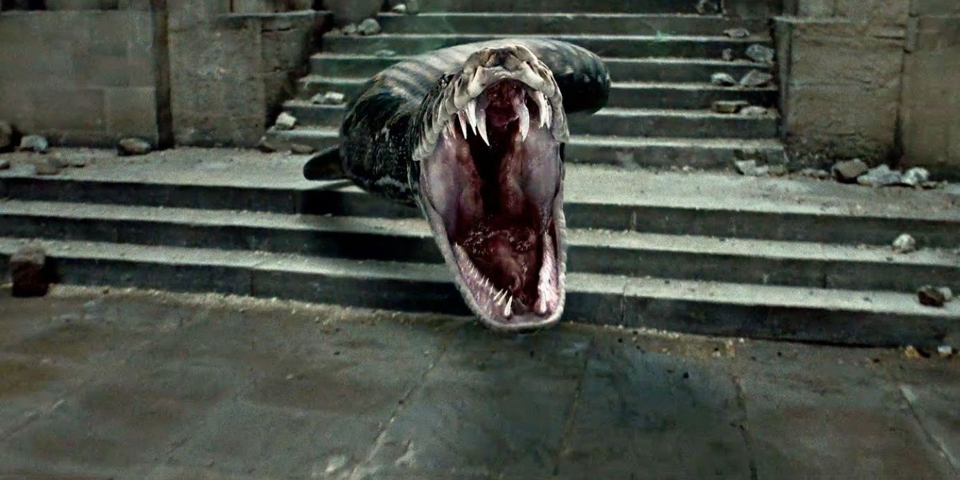 Harry Potter- Confringo Cropped