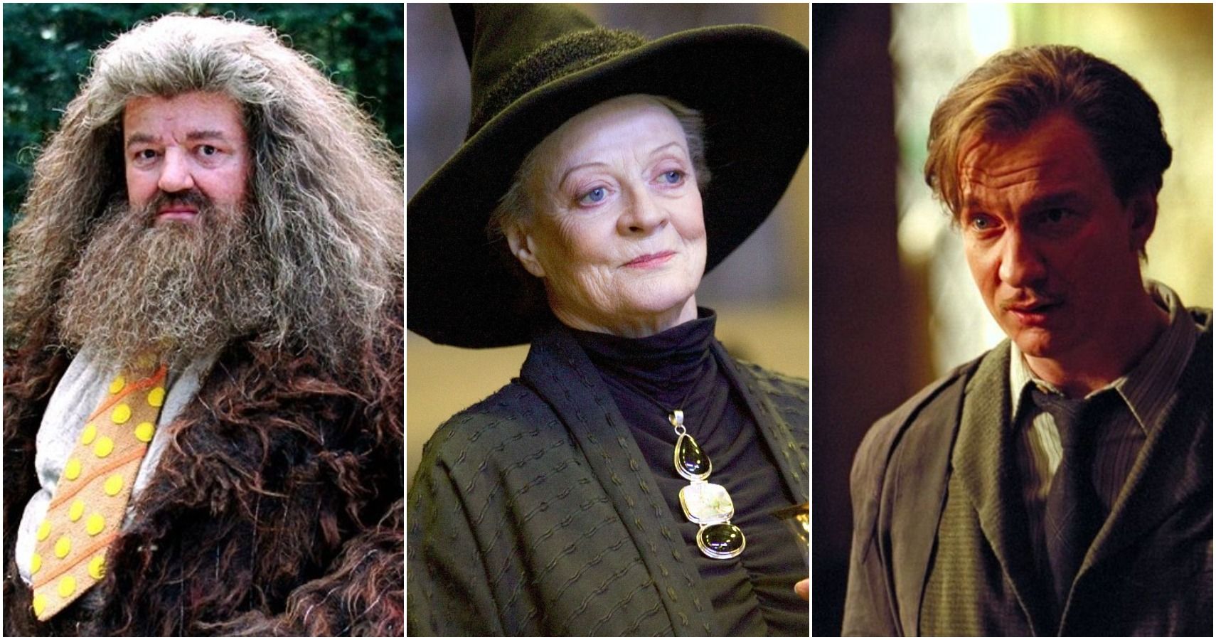 Harry Potter 5 Most Likable Professors (5 We Cant Stand)