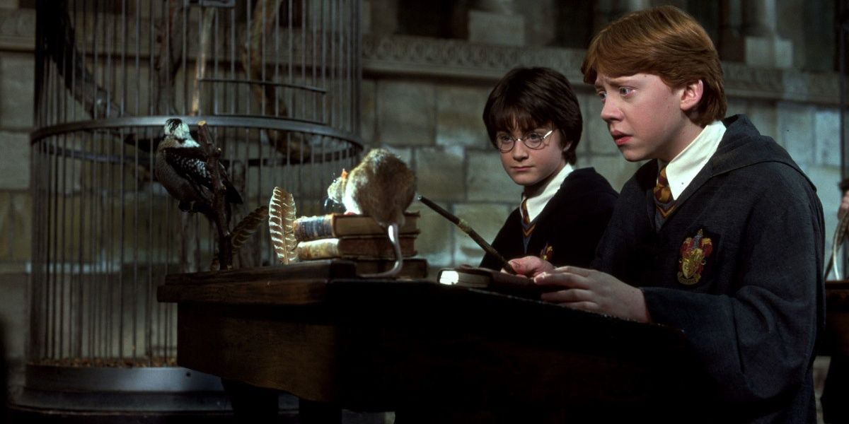Harry Potter- Reparifarge Cropped (1)