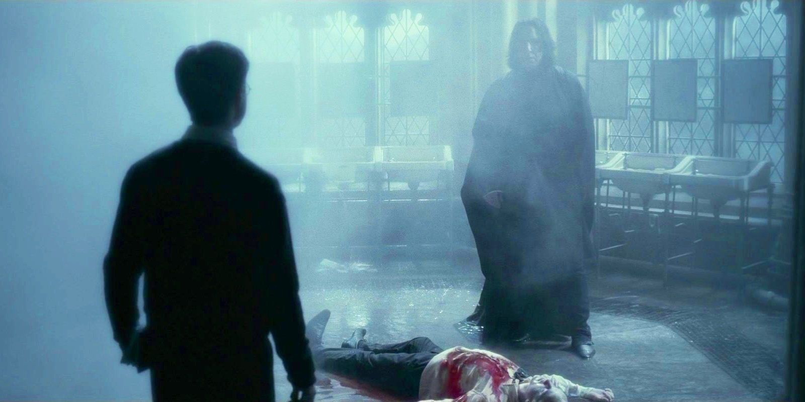 Harry Potter-Vulnera Sanentur Cropped