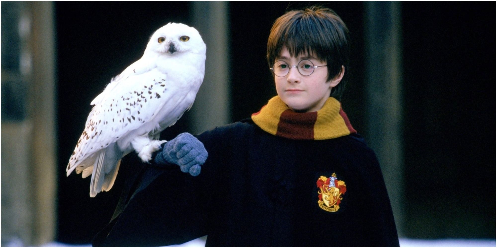 Harry Potter with a bird on his hand in Harry Potter And The Philosopher's Stone