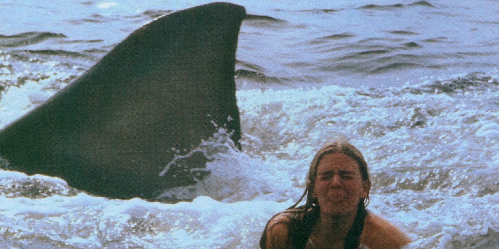 A shark fin behind a swimmer in Jaws 2