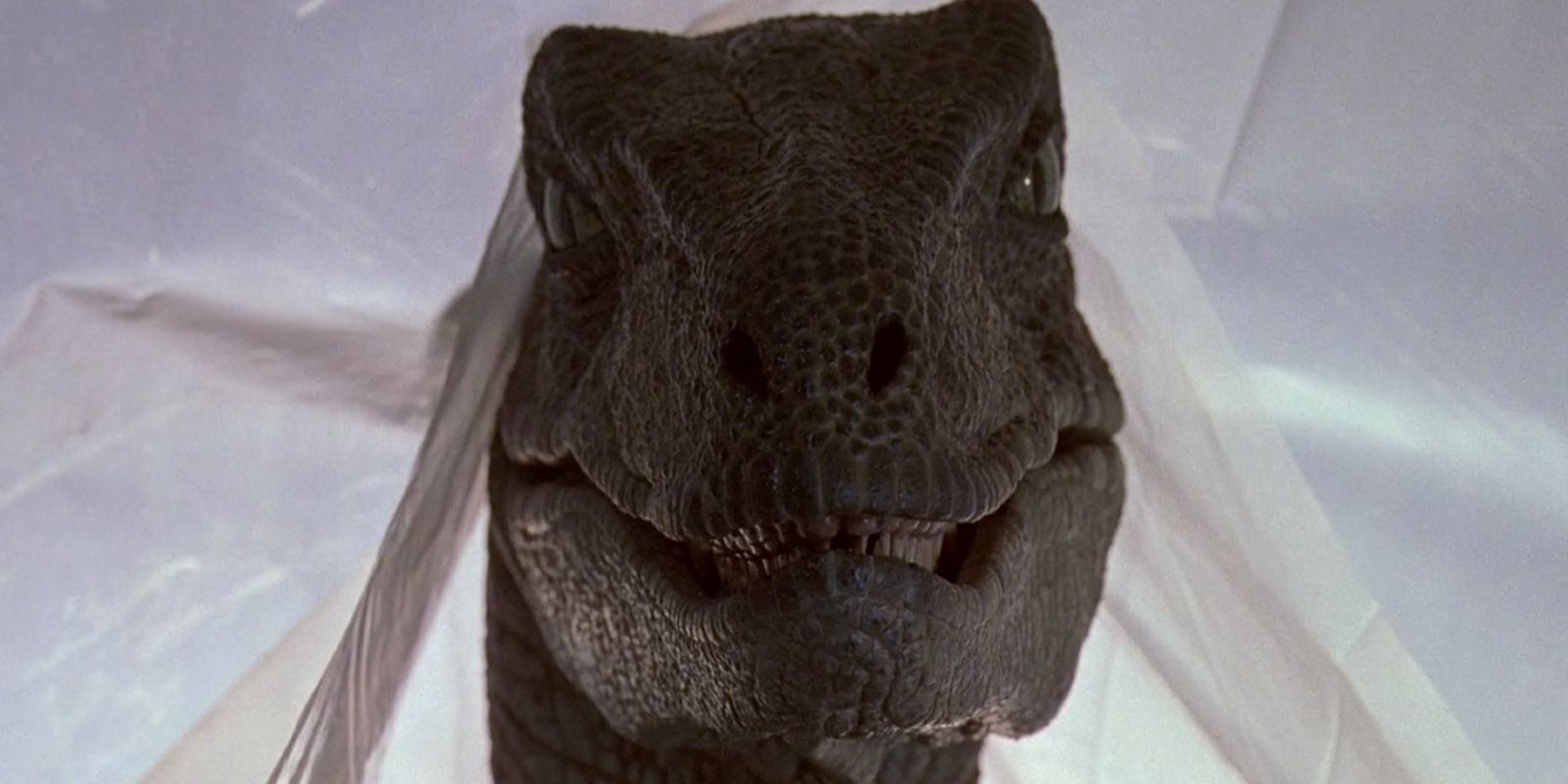 Jurassic Canon - The Fifth Member Of The Raptor Squad