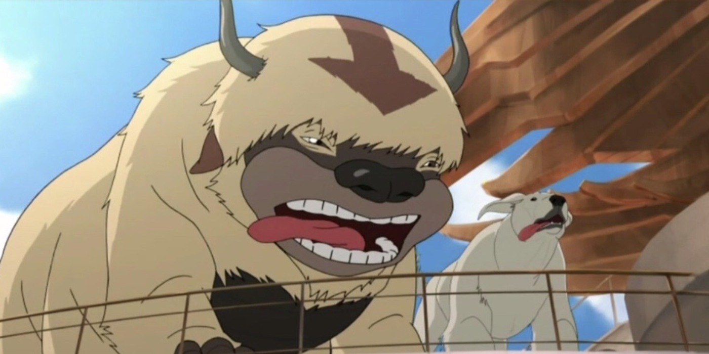 Legend of korra sky bison