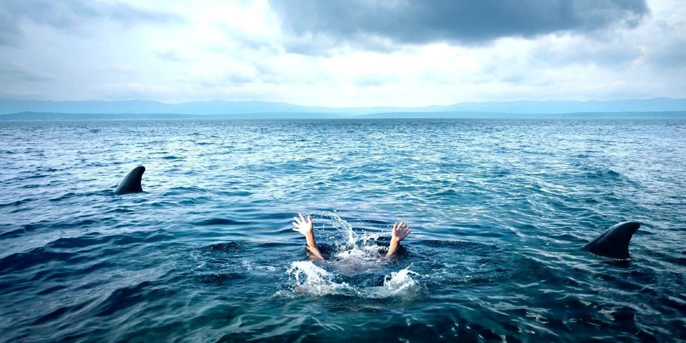 Sharks Circling the Swimmer in Open Water