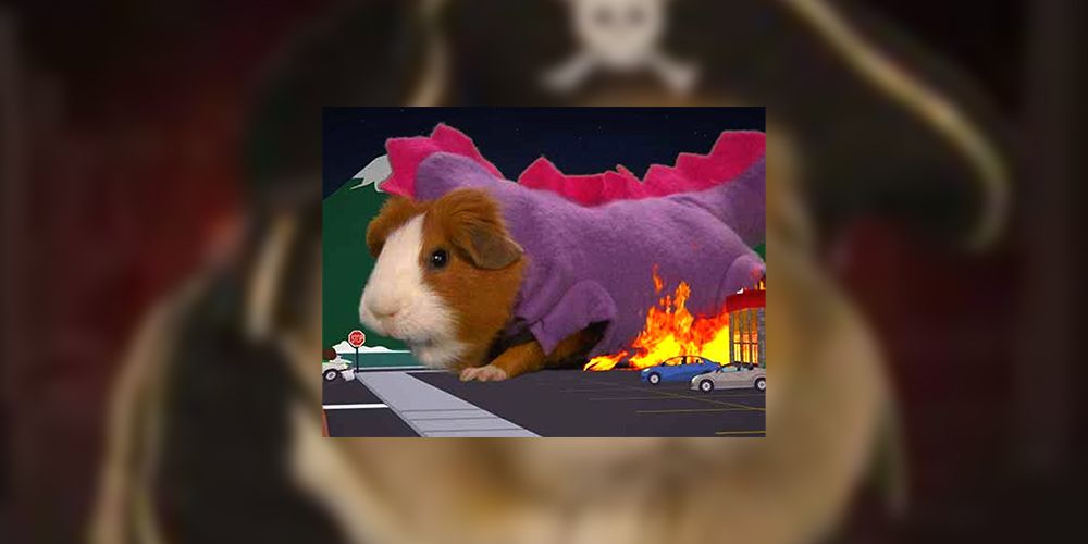 South Park Guinea Pigs