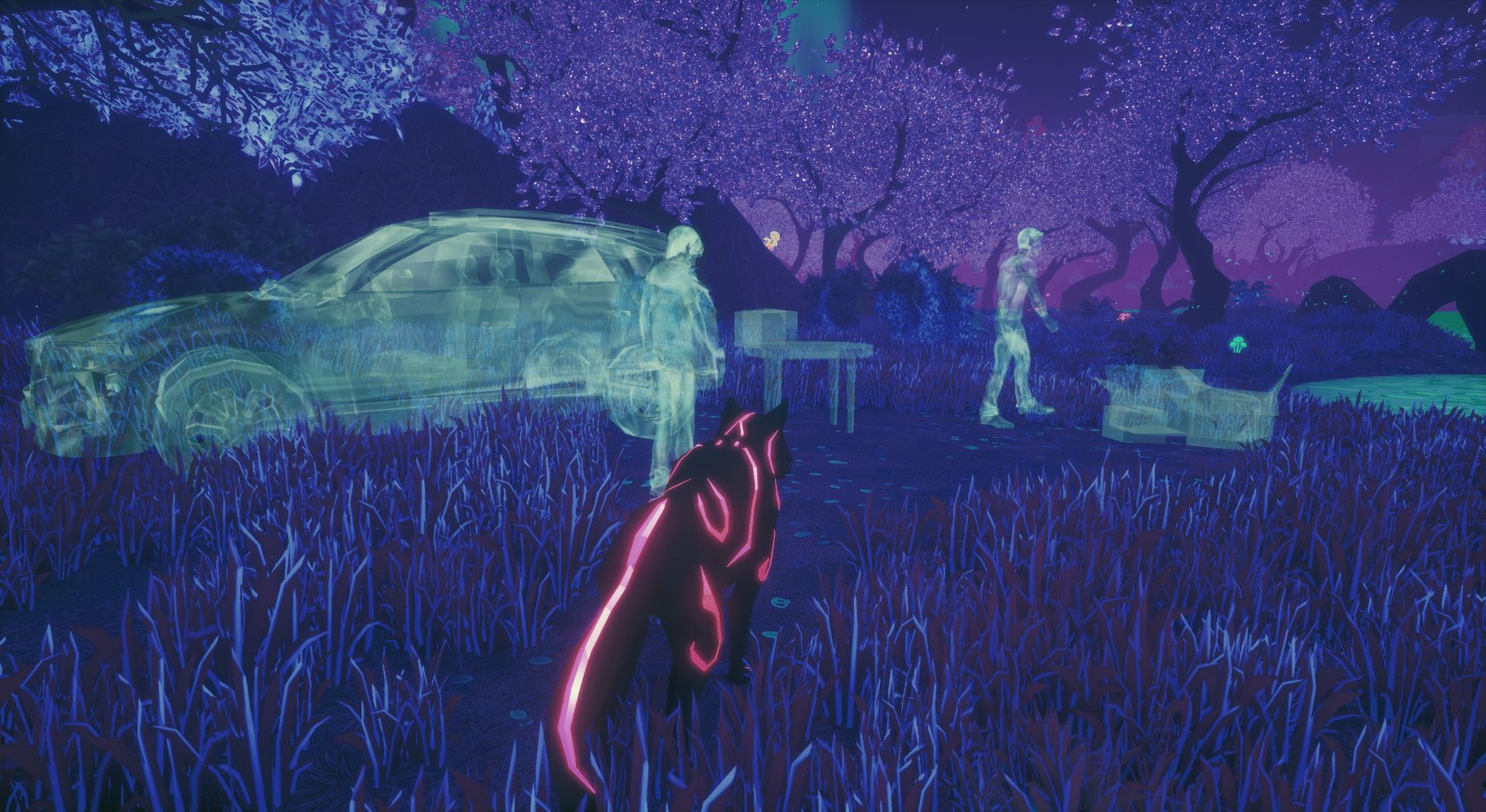 Paws and Soul apparitions