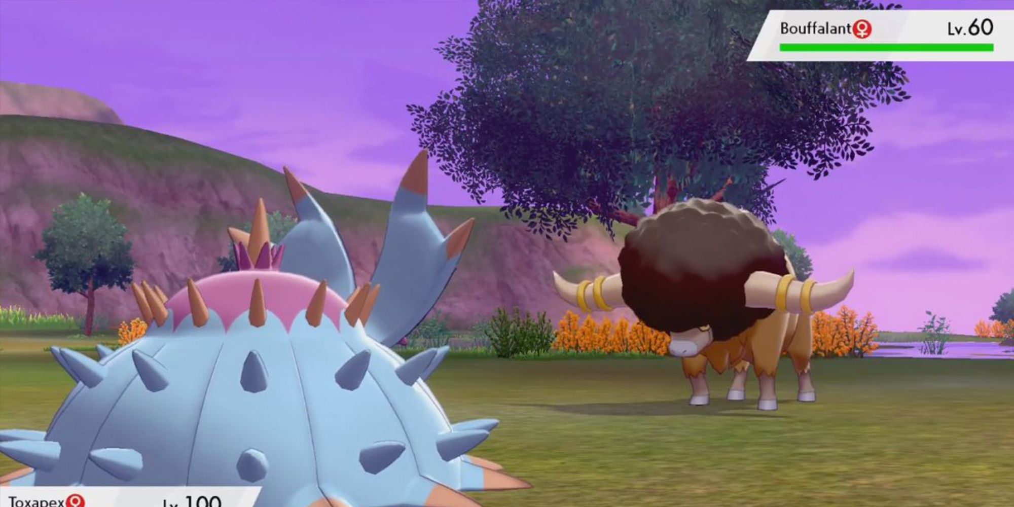 Pokemon Sword and Shield Bouffalant