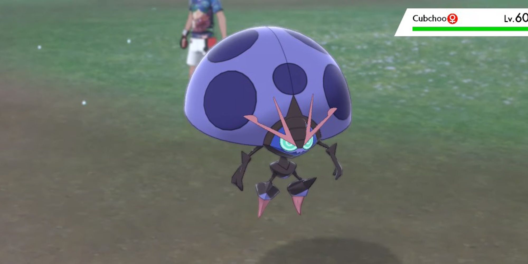How to Find (& Catch) Shiny Orbeetle in Pokémon Sword & Shield