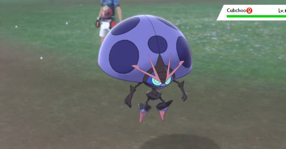 How To Find Catch Shiny Orbeetle In Pokemon Sword Shield How To Find Catch Shiny Orbeetle In Pokemon Sword Shield