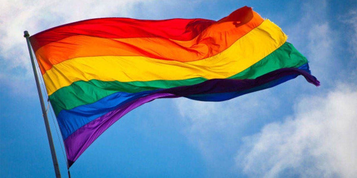 Pride Flag Cropped