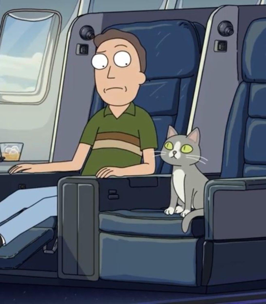 Rick and Morty Cat pic vertical