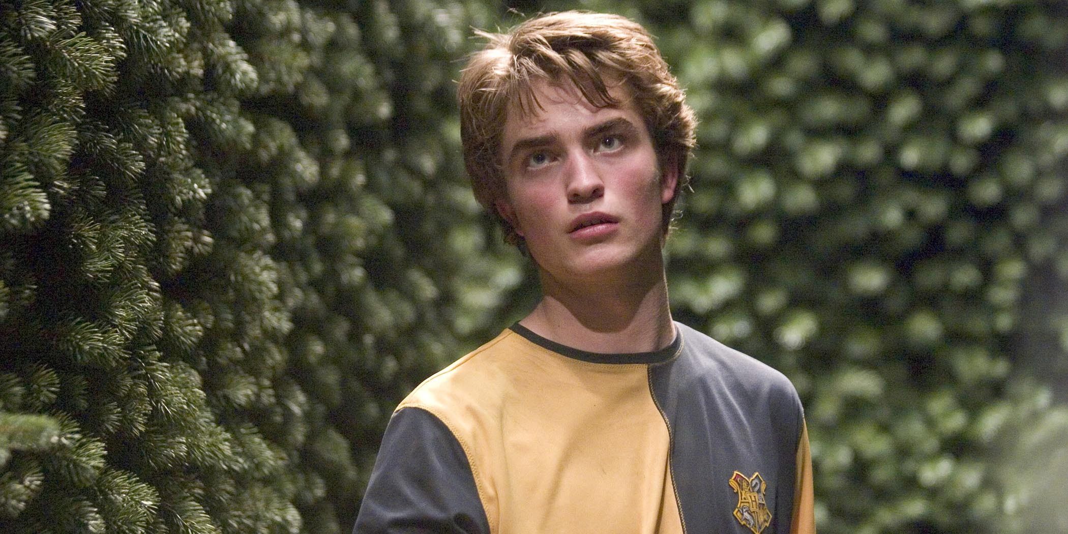 Cedric Diggory in the maze