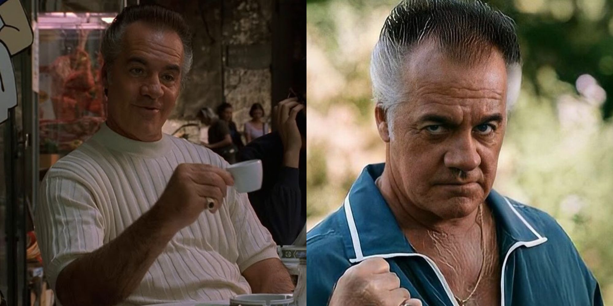 Split image of Paulie Walnuts in The Sopranos