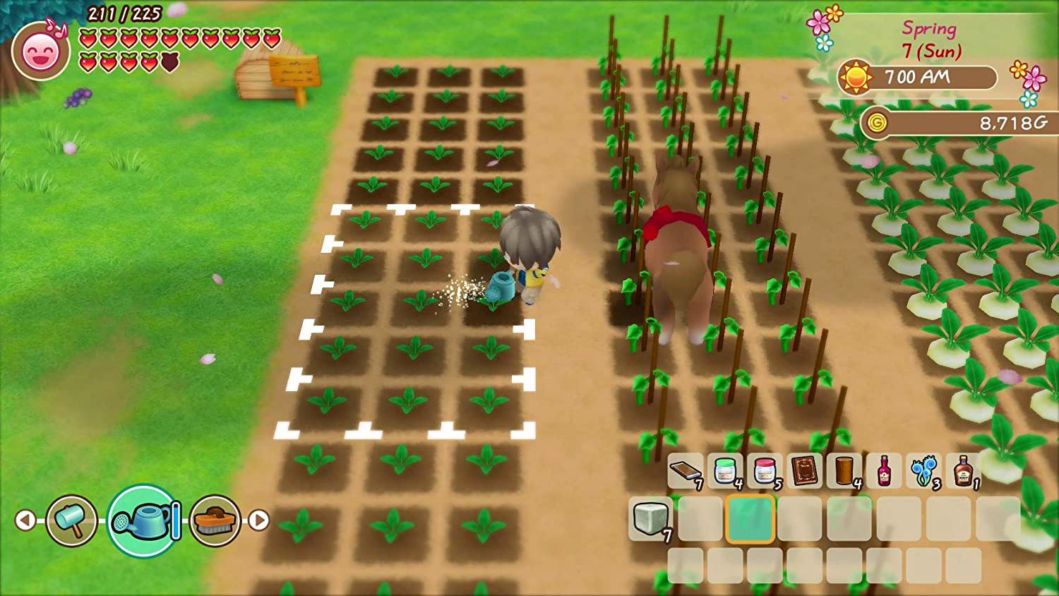 Story of Seasons: Friends of Mineral Town Farming Gameplay