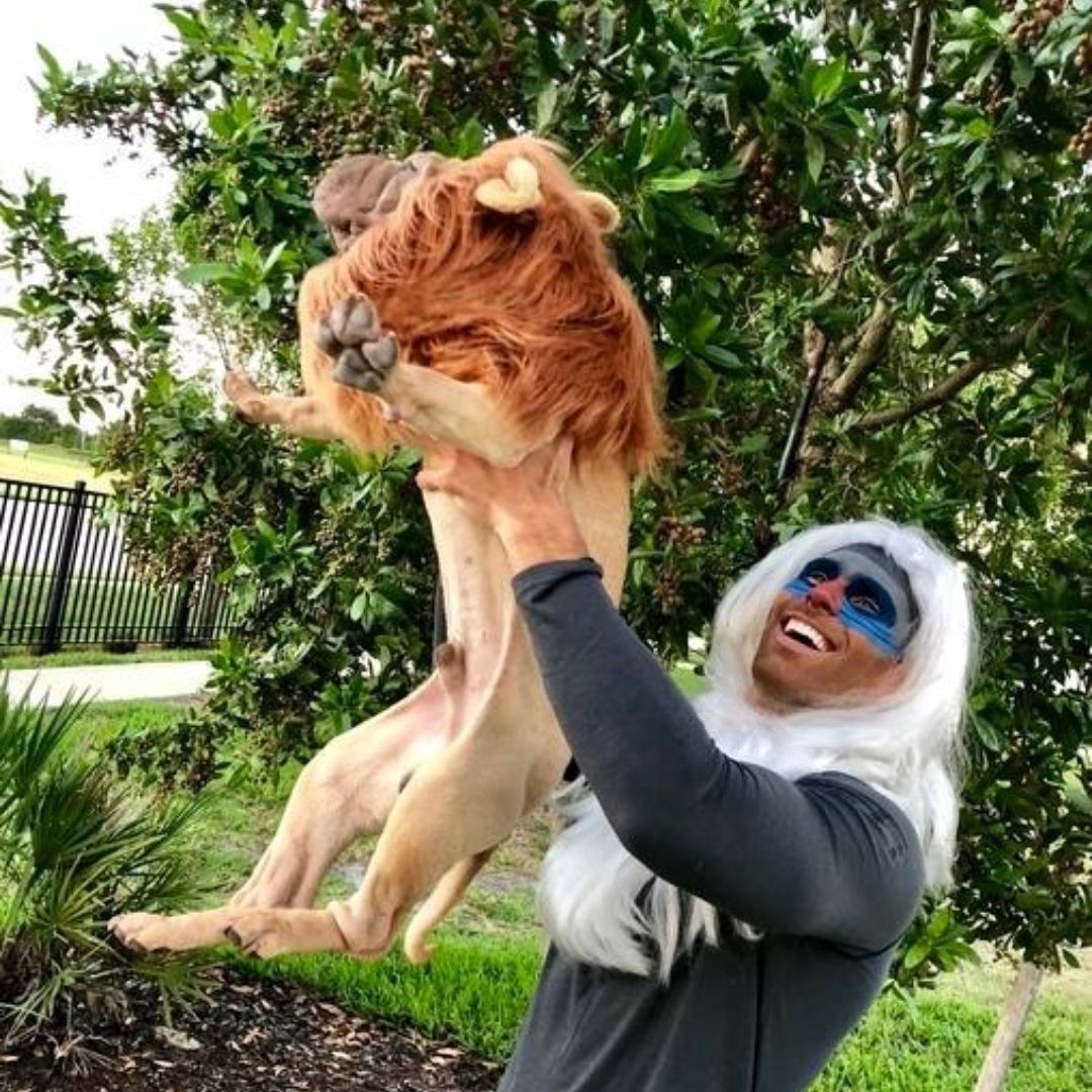 the lion king cosplay