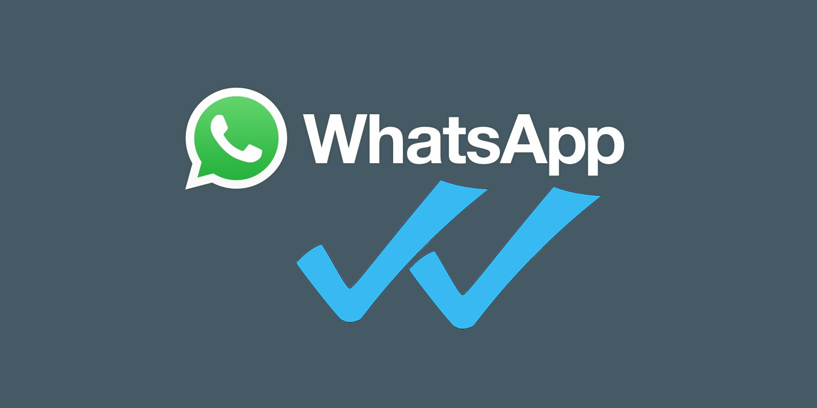 WhatsApp logo with two blue check marks on a grey background