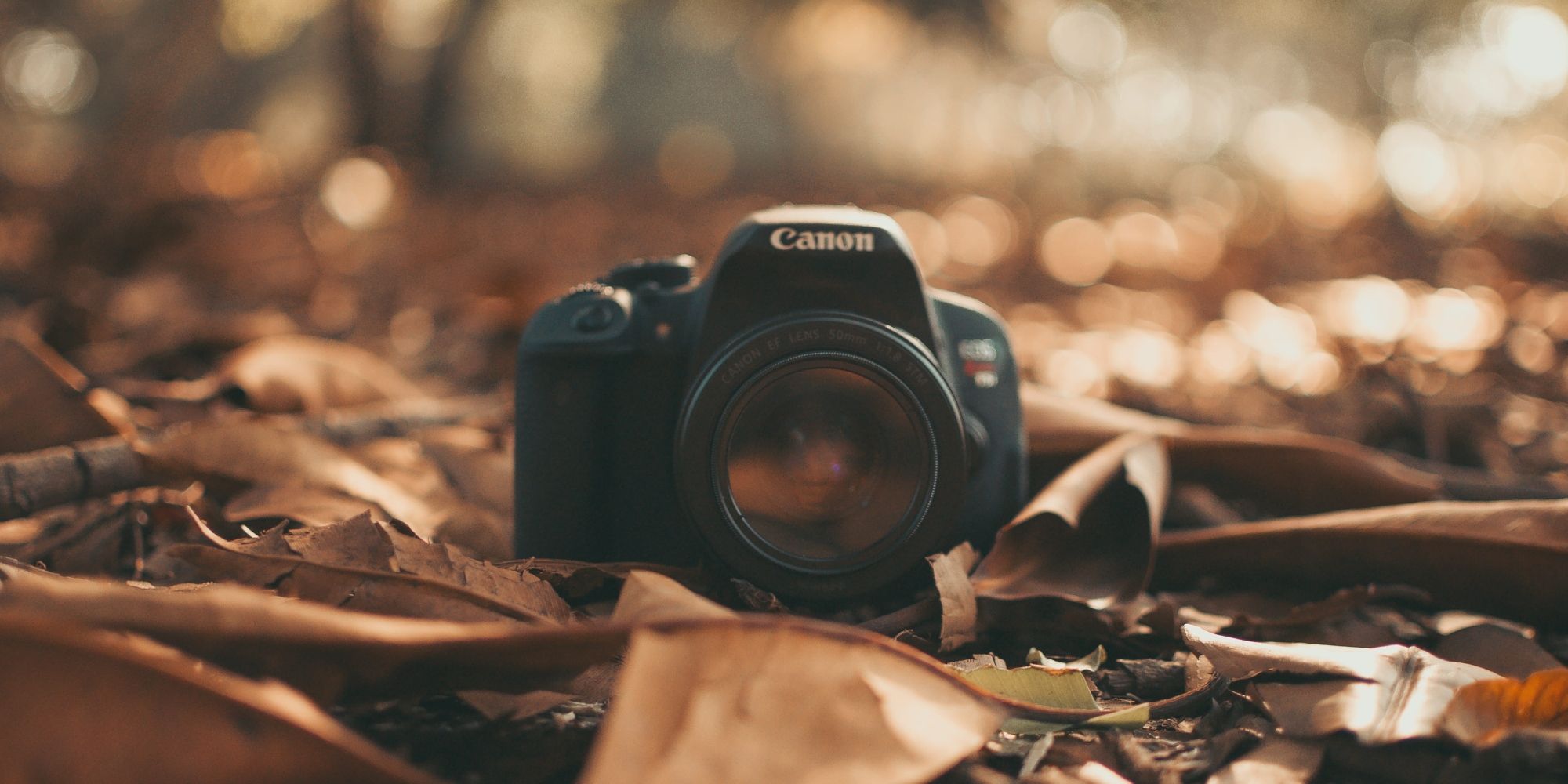 dslr1