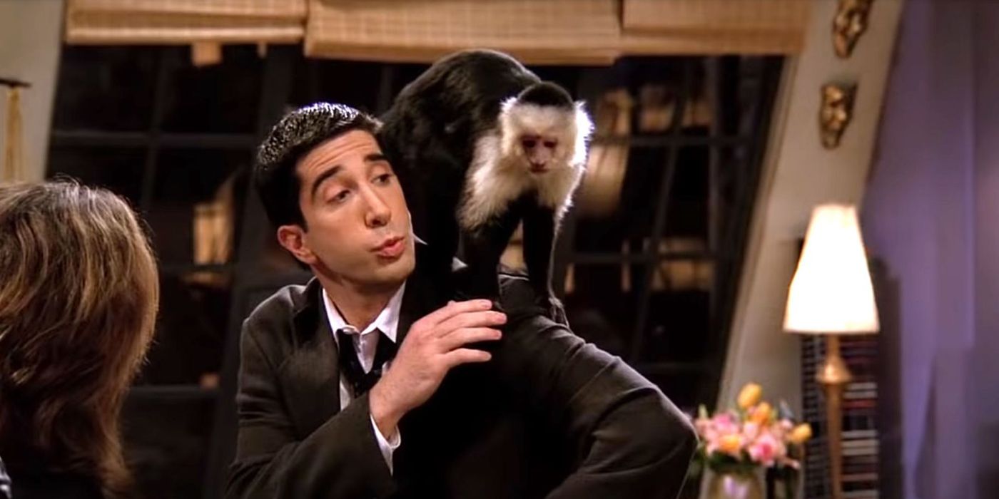 Ross with Marcel on his shoulder in Friends