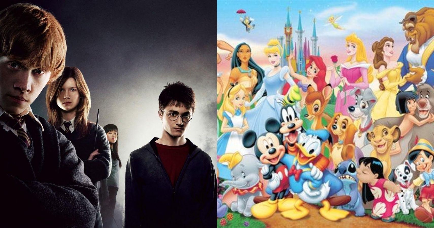 Harry Potter Characters Disney Counterparts