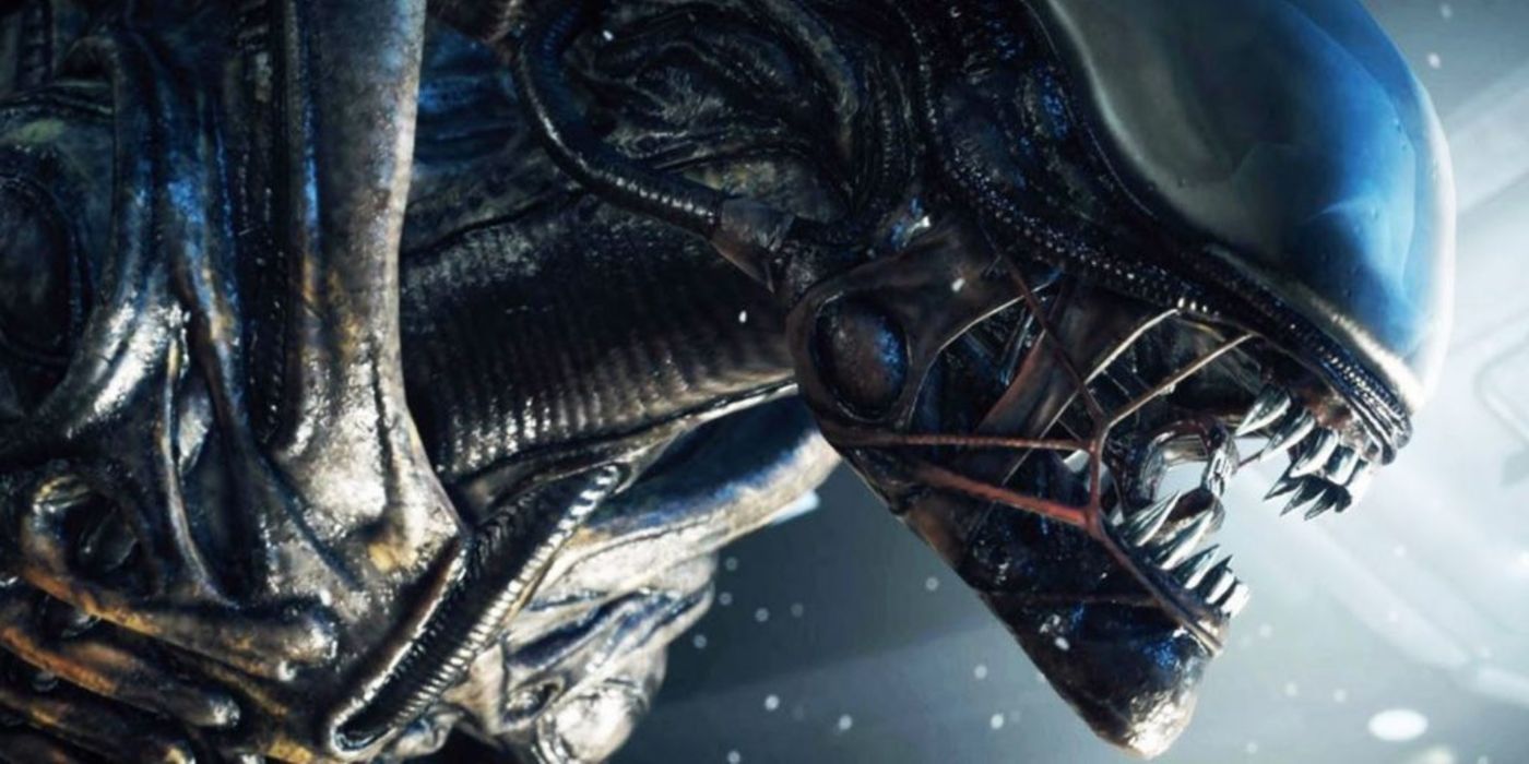 Ranked: The Alien and Predator Films (Updated) - Cinelinx