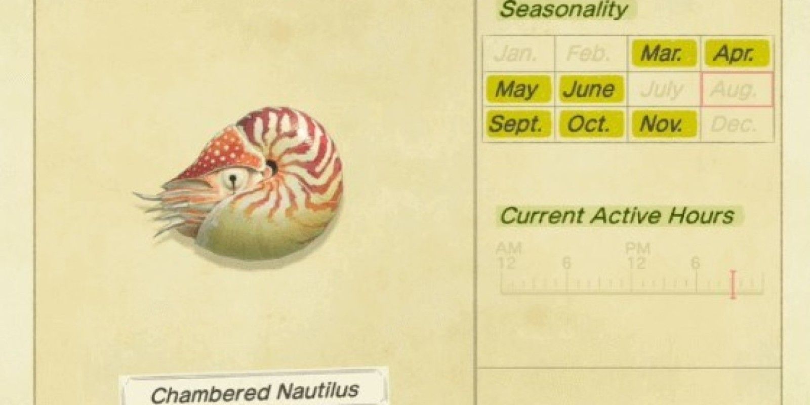 The critterpedia entry for the Chambered Nautilus in Animal Crossing: New Horizons