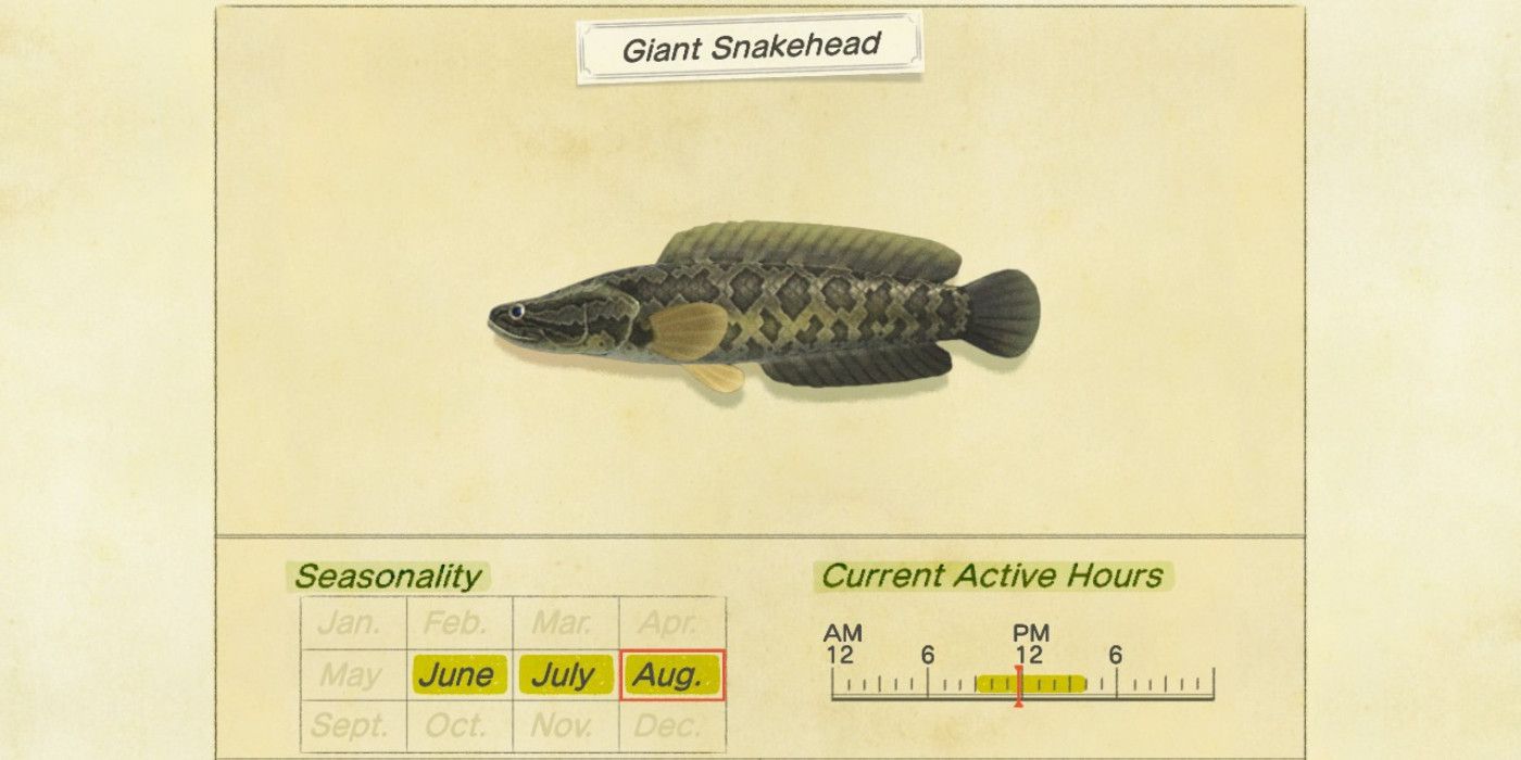 Animal Crossing New Horizons Giant Snakehead