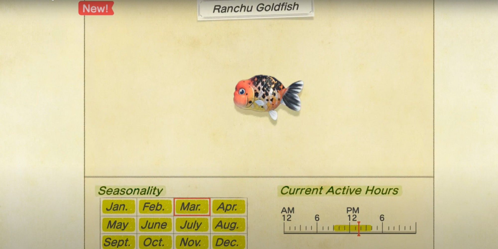 The Critterpedia Entry for the Ranchu Goldfish in Animal Crossing: New Horizons