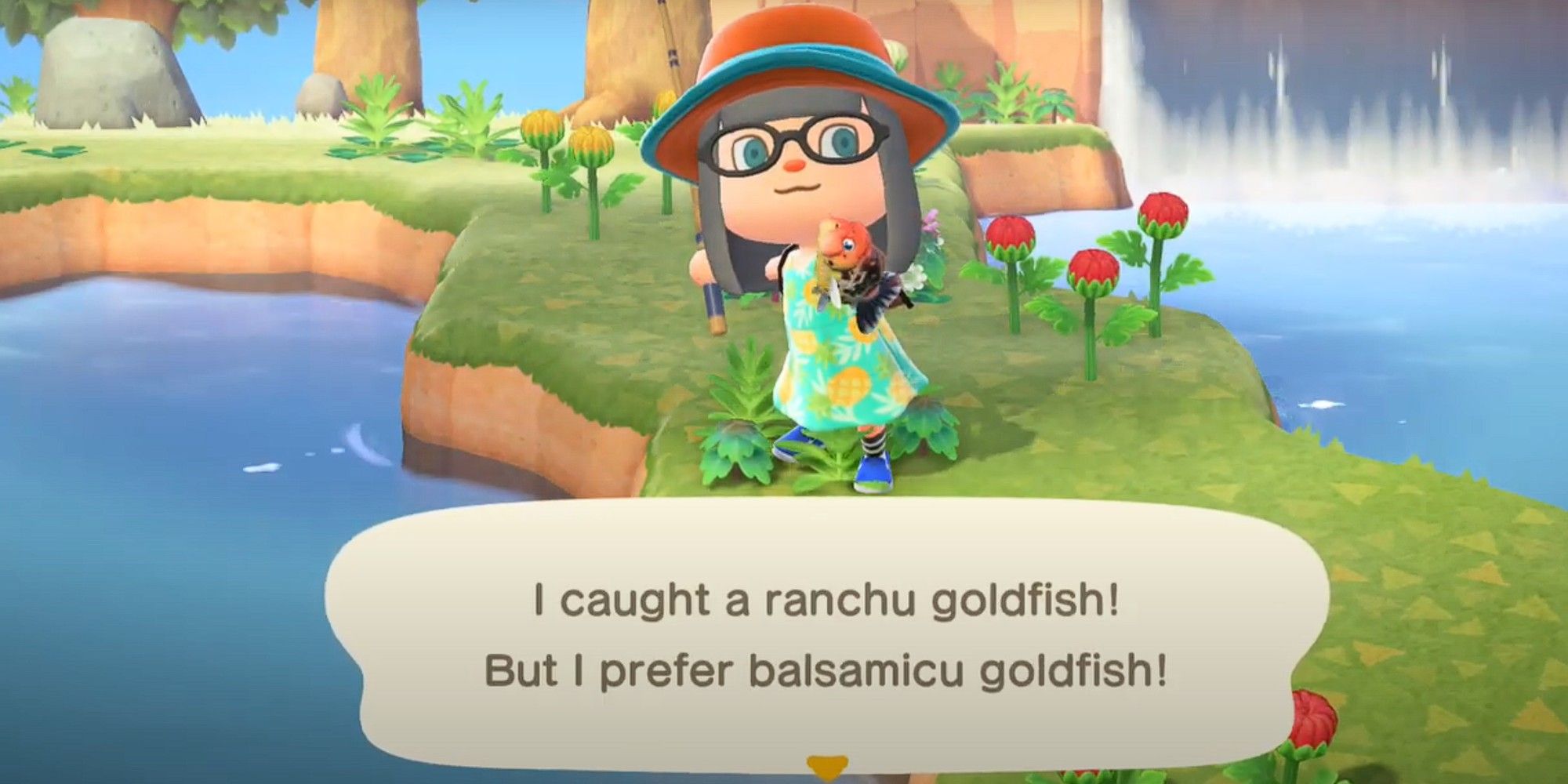 A player catches the Ranchu Goldfish in Animal Crossing: New Horizons