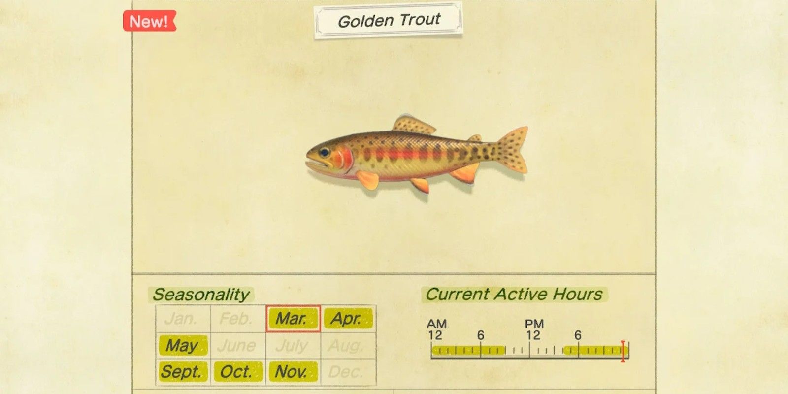 The critterpedia entry for the Golden Trout in Animal Crossing: New Horizons