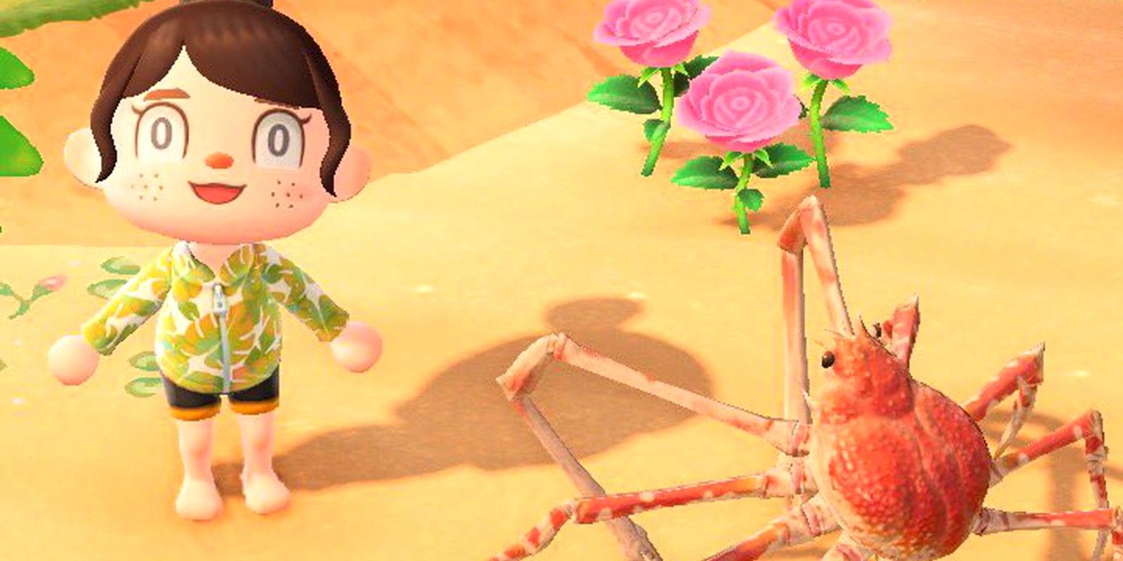 A player keeps a Spider Crab as a pet in Animal Crossing: New Horizons