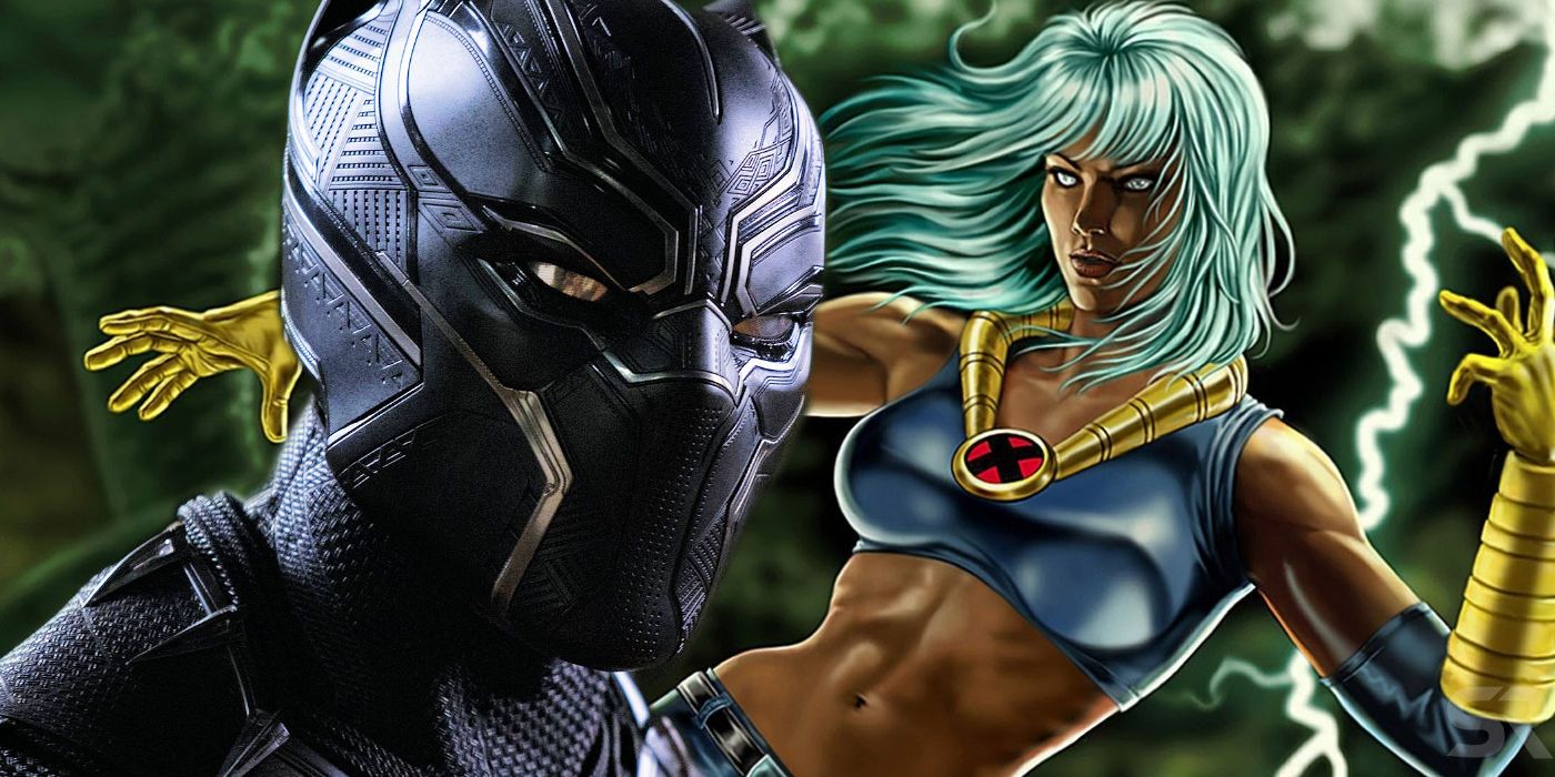 Black Panther and X-Men Storm